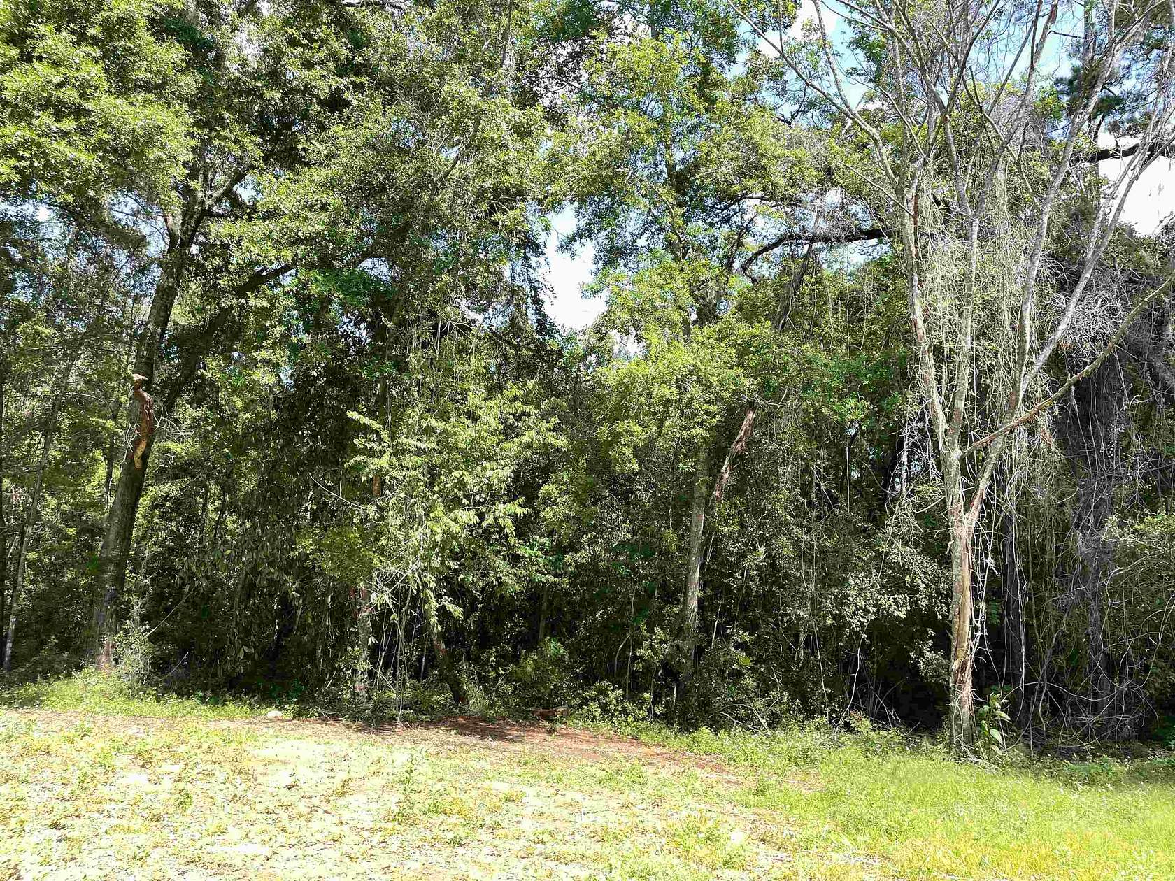 1 Acre of Residential Land for Sale in Tallahassee, Florida