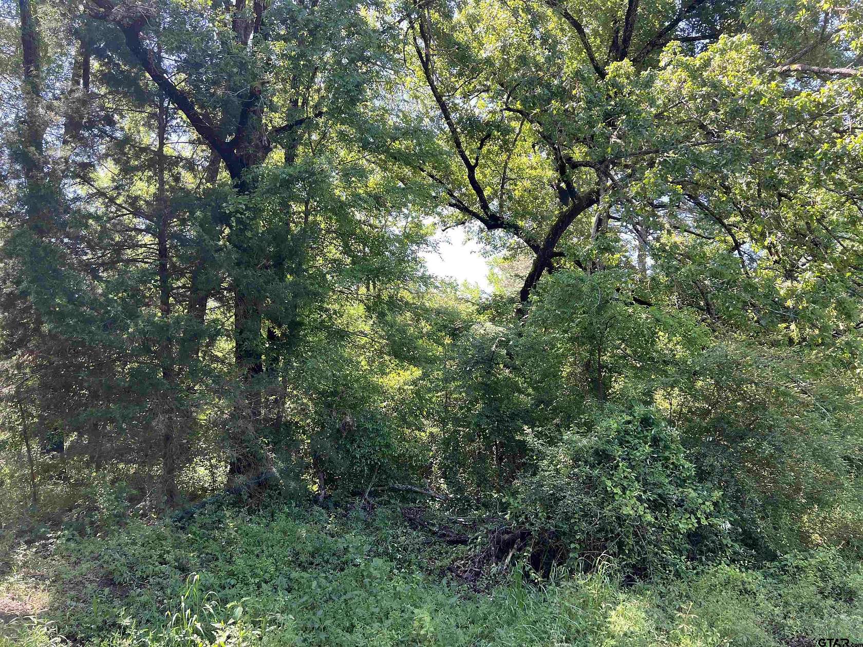 0.25 Acres of Residential Land for Sale in Flint, Texas