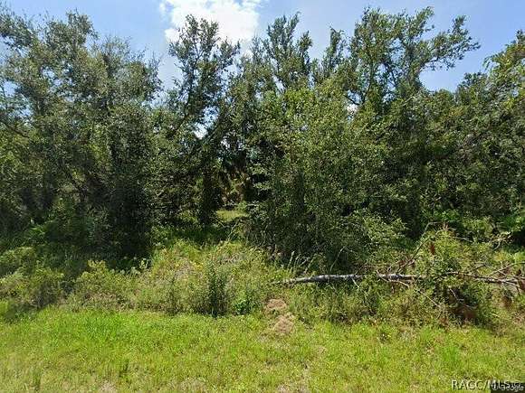 0.22 Acres of Residential Land for Sale in Punta Gorda, Florida