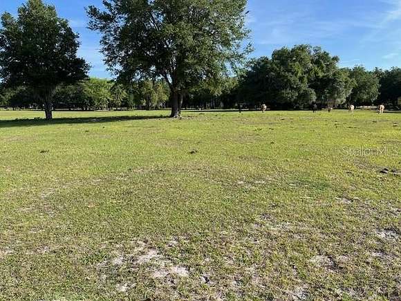 10.34 Acres of Land for Sale in Bushnell, Florida