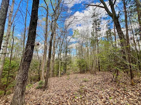 19 Acres of Land for Sale in Norlina, North Carolina