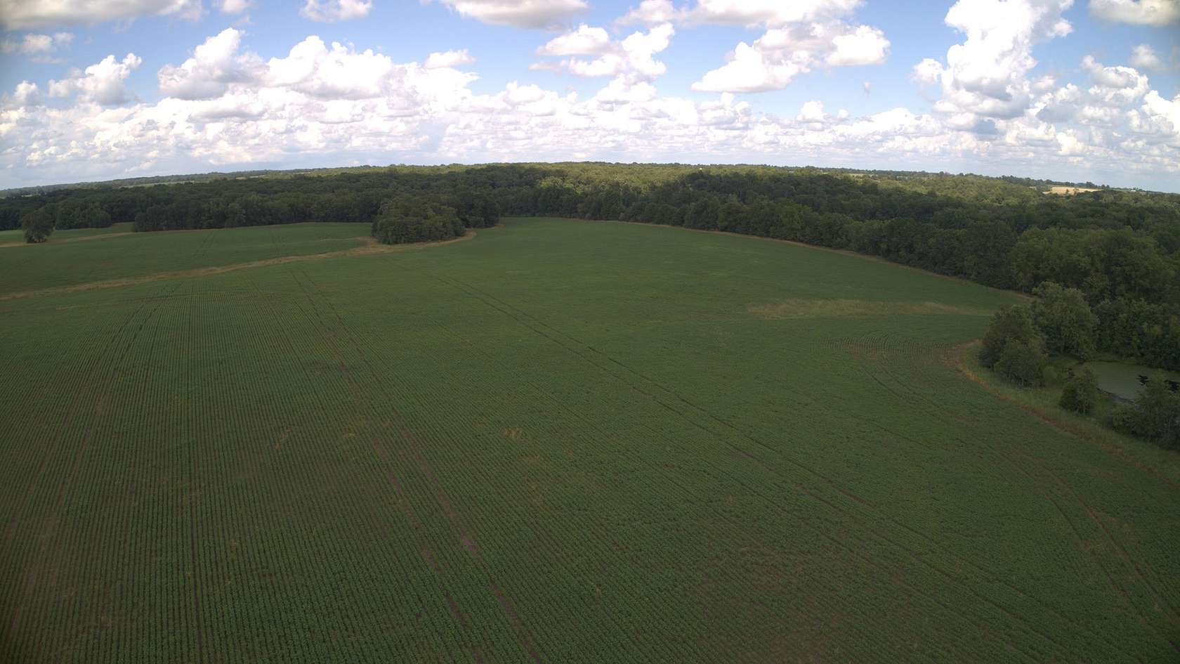 80 Acres of Recreational Land & Farm for Sale in Newark, Missouri