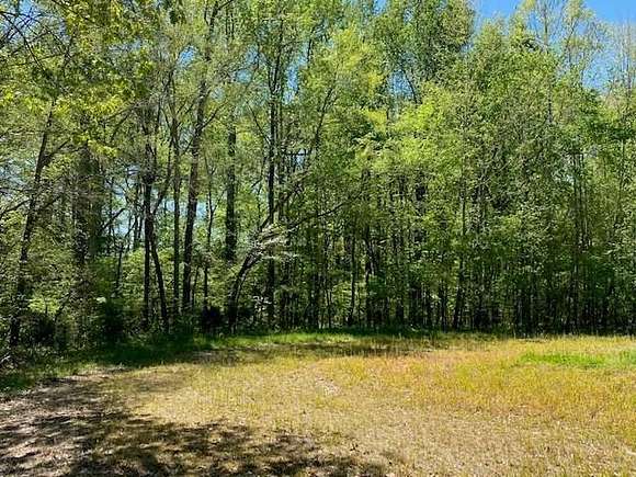 10 Acres of Recreational Land & Farm for Sale in Townsville, North Carolina