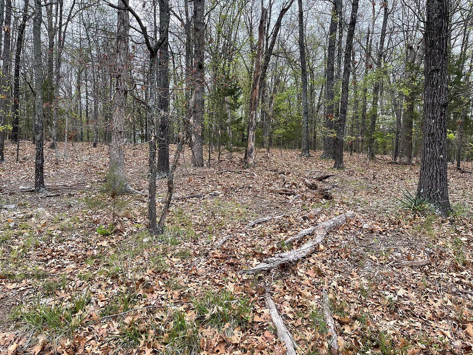 0.56 Acres of Residential Land for Sale in Horseshoe Bend, Arkansas