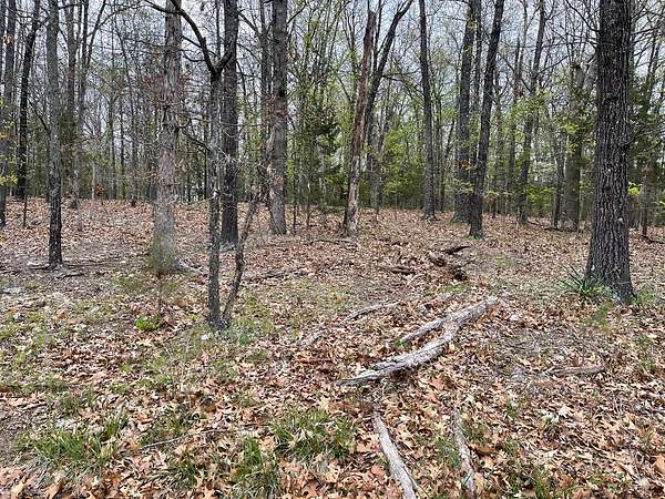 0.56 Acres of Residential Land for Sale in Horseshoe Bend, Arkansas