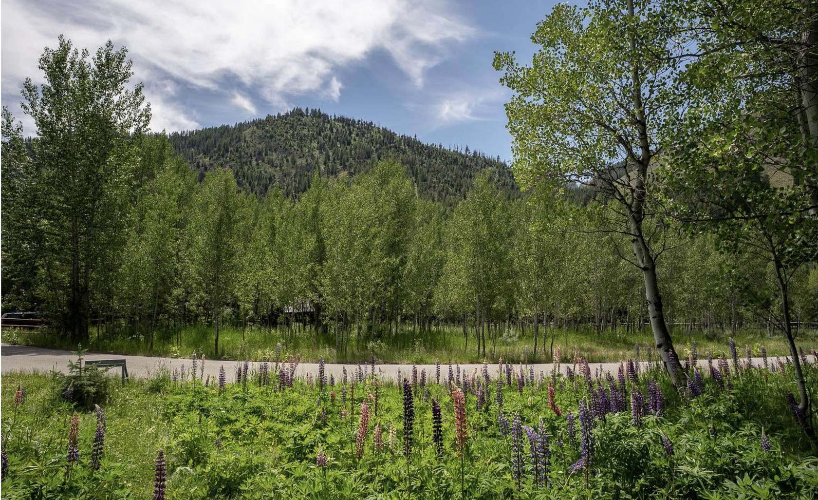 0.5 Acres of Residential Land for Sale in Ketchum, Idaho