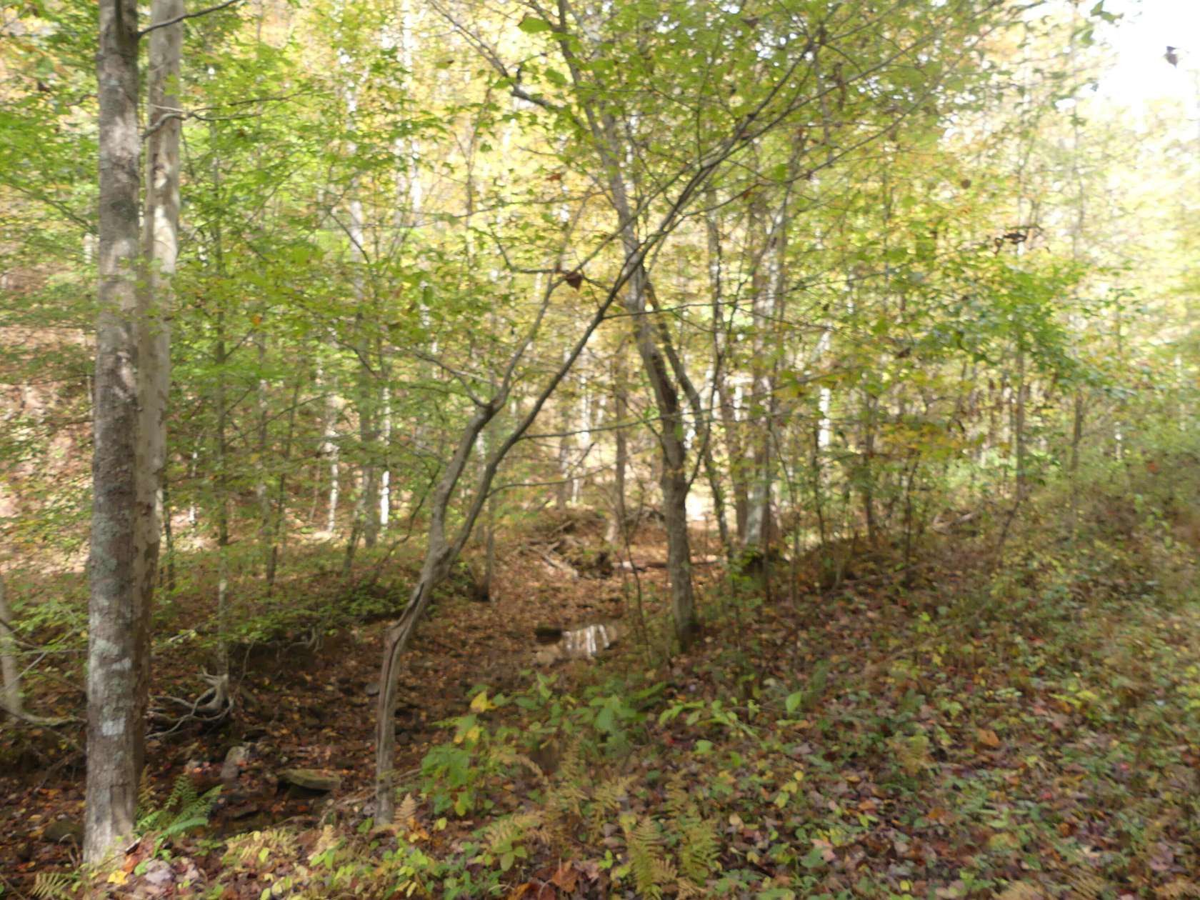 58 Acres of Recreational Land & Farm for Sale in Morehead, Kentucky