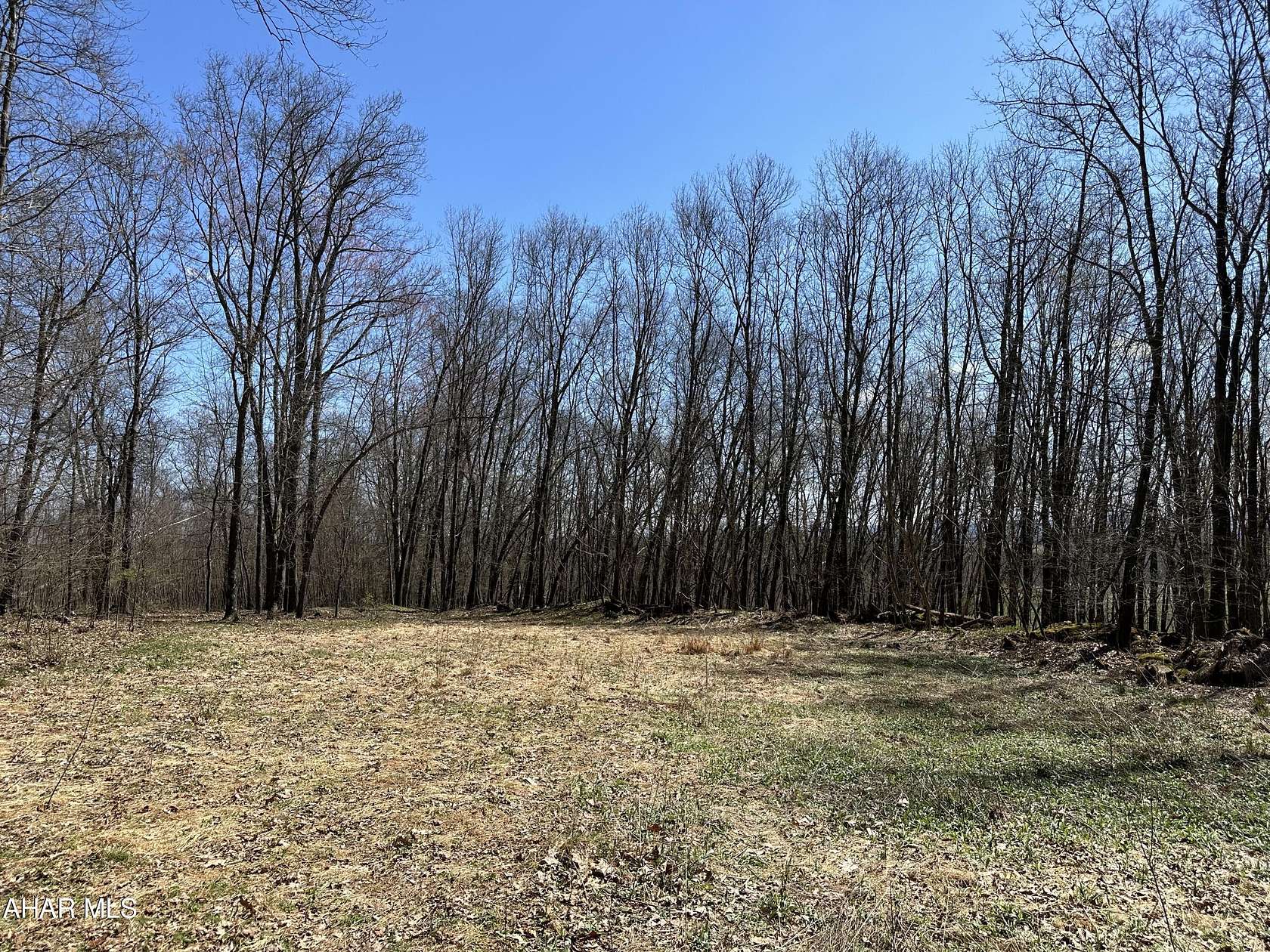 36.3 Acres of Land for Sale in Curwensville, Pennsylvania