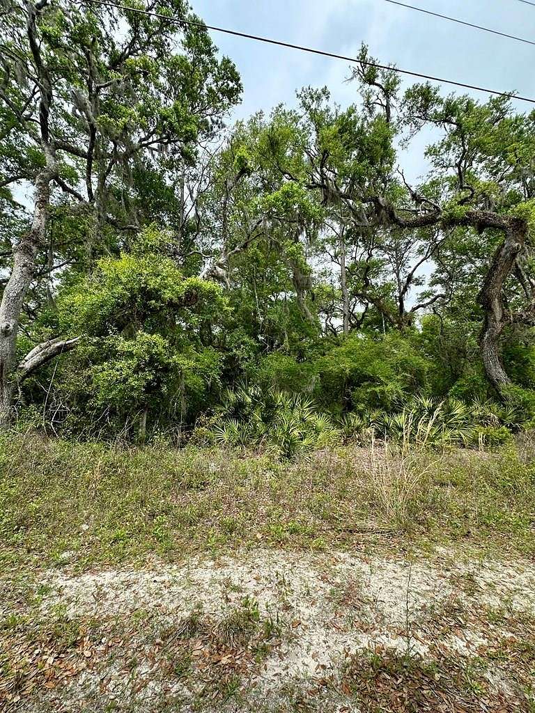 10.1 Acres of Land for Sale in Old Town, Florida