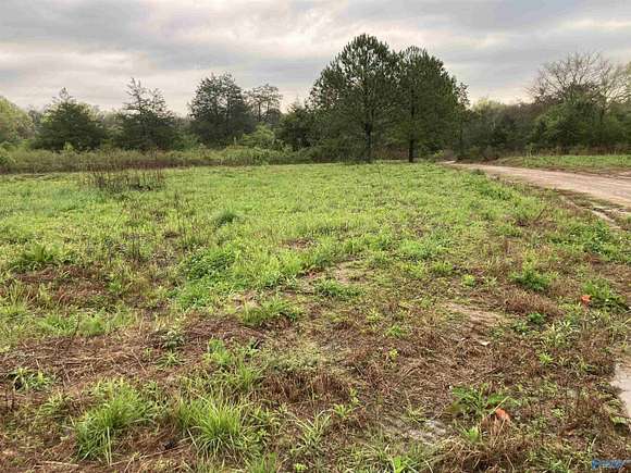 10 Acres of Land for Sale in Horton, Alabama