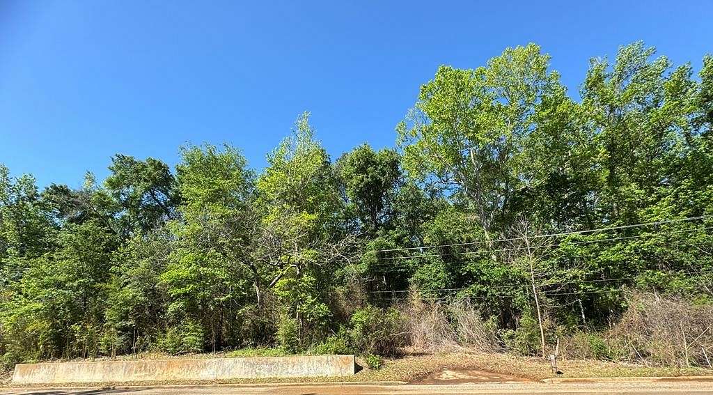 7 Acres of Land for Sale in Palestine, Texas