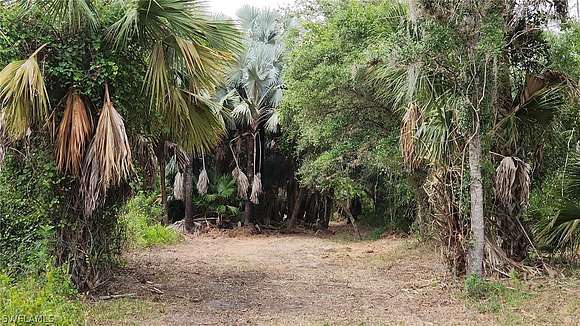 10 Acres of Agricultural Land for Sale in Fort Myers, Florida