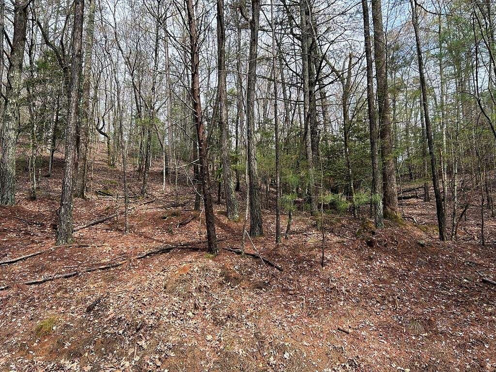 0.68 Acres of Residential Land for Sale in Ellijay, Georgia