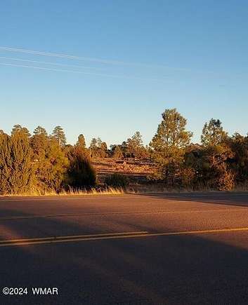 4.3 Acres of Mixed-Use Land for Sale in Overgaard, Arizona