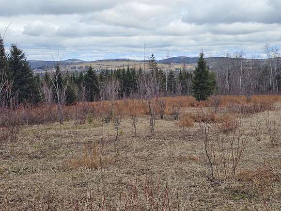 69 Acres of Land for Sale in Fort Kent, Maine