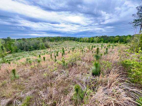 12 Acres of Recreational Land for Sale in St. Stephens, Alabama
