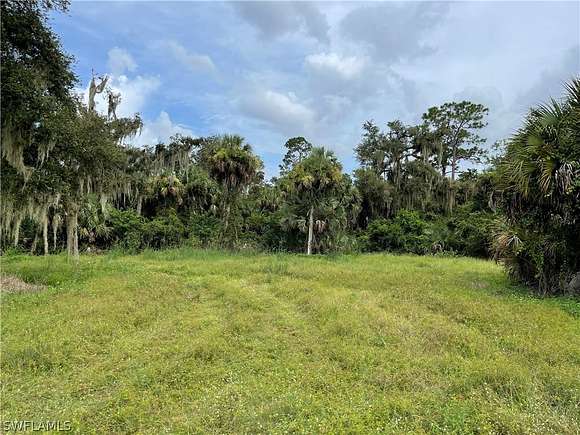 20 Acres of Recreational Land & Farm for Sale in LaBelle, Florida