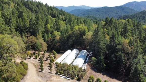 147 Acres of Recreational Land & Farm for Sale in Bridgeville, California