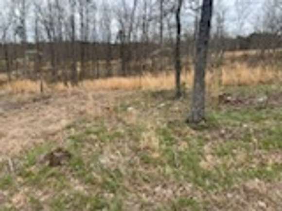7 Acres of Residential Land with Home for Sale in Licking, Missouri