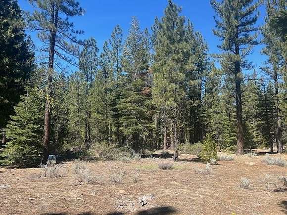 5.4 Acres of Land for Sale in Sierraville, California