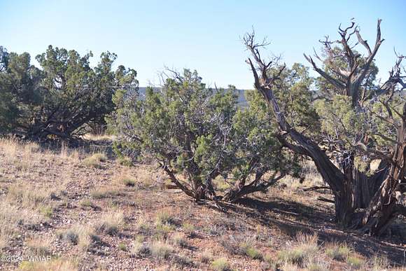 1.2 Acres of Land for Sale in Snowflake, Arizona
