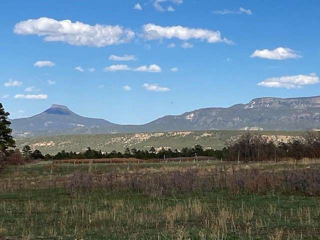 20.5 Acres of Recreational Land for Sale in Coyote, New Mexico