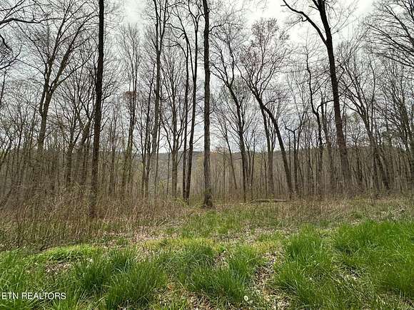 5 Acres of Residential Land for Sale in Jamestown, Tennessee