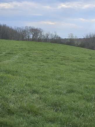 58.5 Acres of Agricultural Land for Sale in Bridgewater, Virginia