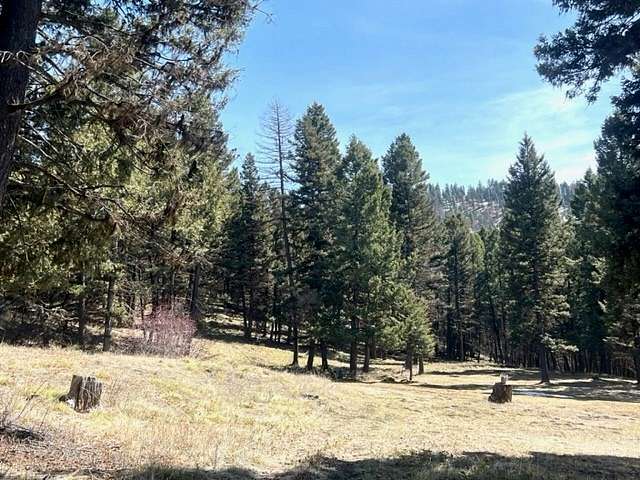 5.5 Acres of Residential Land for Sale in Seeley Lake, Montana