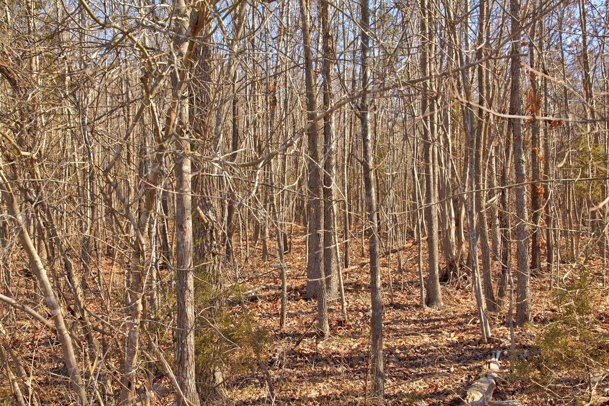 16 Acres of Land for Sale in Clarksville, Virginia