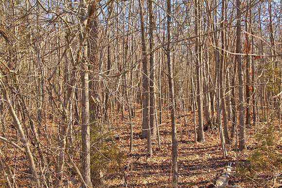 15.96 Acres of Land for Sale in Clarksville, Virginia