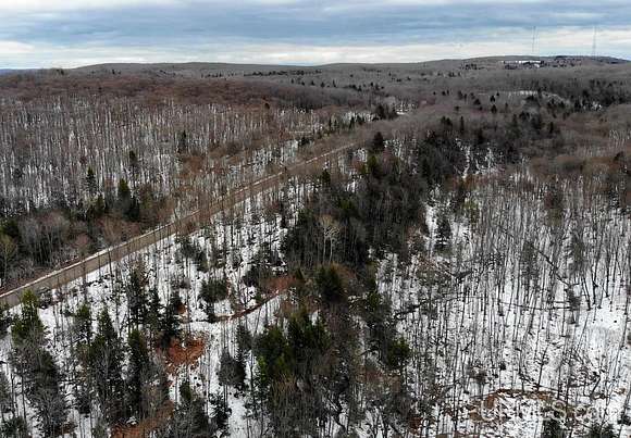 39.6 Acres of Land for Sale in L'Anse, Michigan