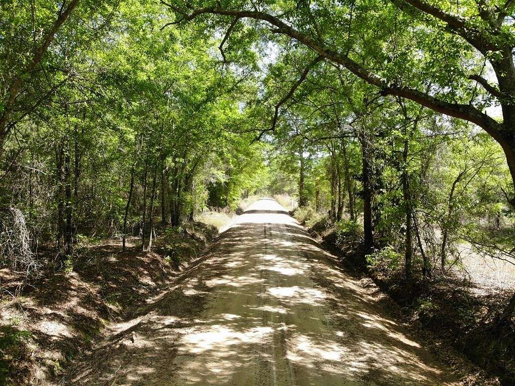 60.3 Acres of Recreational Land for Sale in Alamo, Georgia