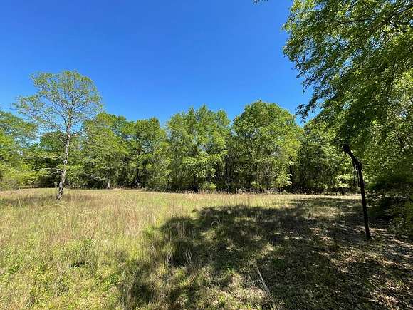158 Acres of Recreational Land for Sale in Alamo, Georgia
