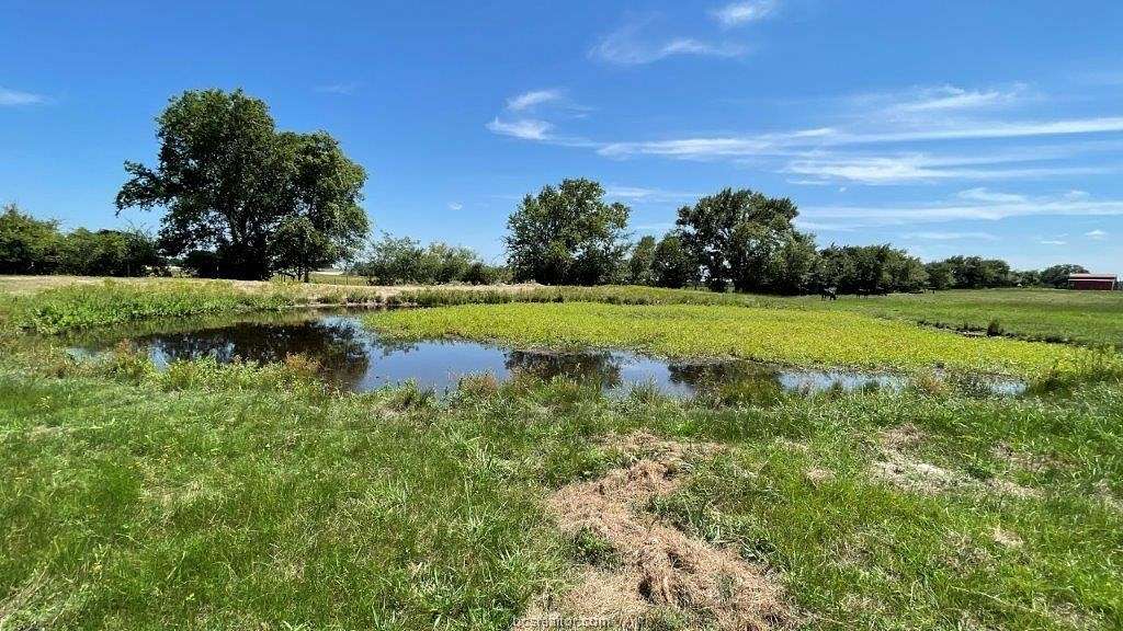 8.7 Acres of Land for Sale in Bremond, Texas