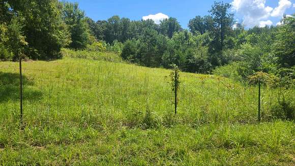 2.2 Acres of Land for Sale in Charleston, Tennessee