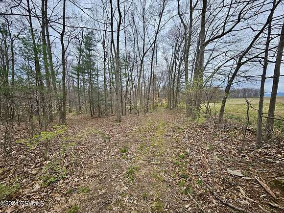 3.6 Acres of Residential Land for Sale in New Columbia, Pennsylvania