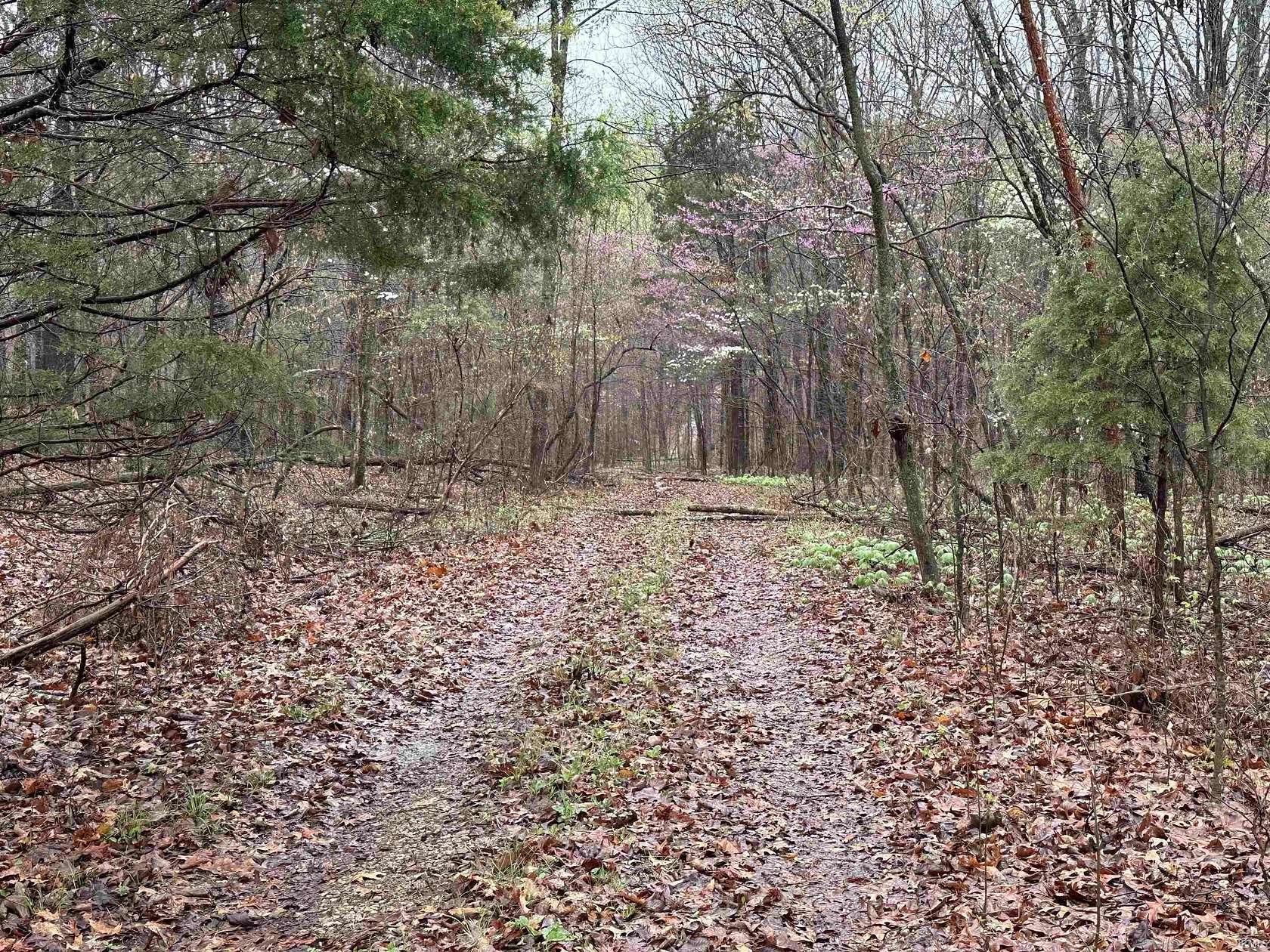 16.4 Acres of Recreational Land for Sale in French Lick, Indiana