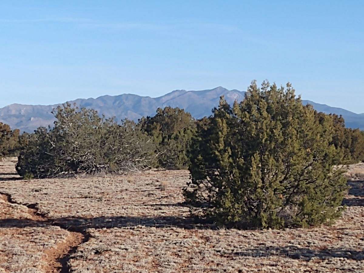 119 Acres of Land for Sale in Mountainair, New Mexico