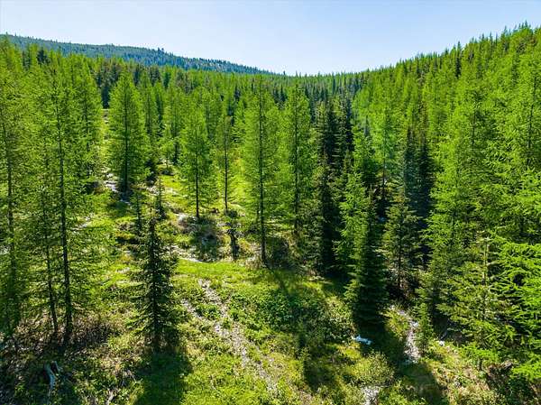 640 Acres of Recreational Land for Sale in Marion, Montana