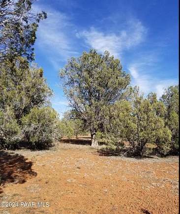 39.9 Acres of Recreational Land for Sale in Ash Fork, Arizona