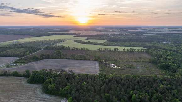 45 Acres of Recreational Land & Farm for Auction in Pineview, Georgia