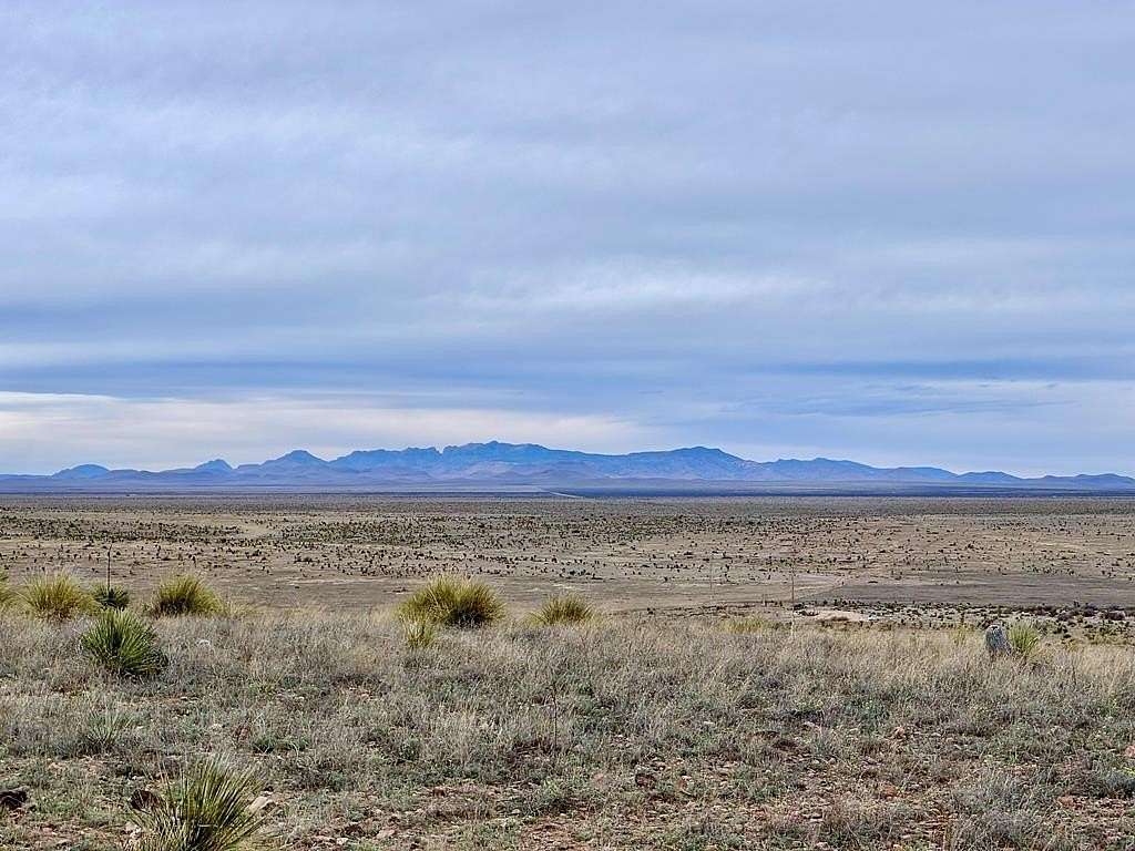 99.5 Acres of Recreational Land for Sale in Marfa, Texas