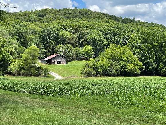 75 Acres of Agricultural Land for Sale in Rock Island, Tennessee