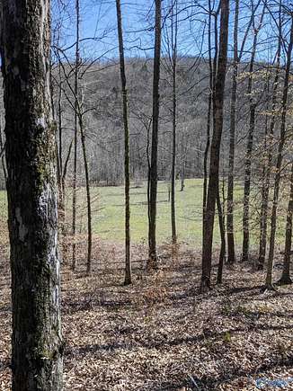 100 Acres of Recreational Land for Sale in Flat Rock, Alabama