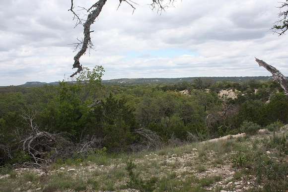 21.9 Acres of Improved Land for Sale in Harper, Texas