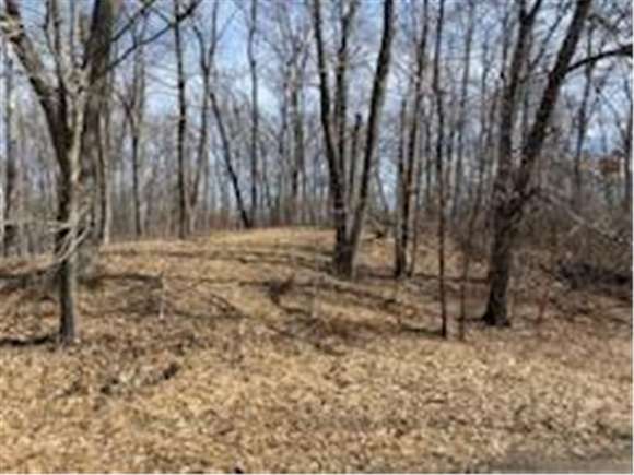 0.206 Acres of Residential Land for Sale in Kathio Township, Minnesota