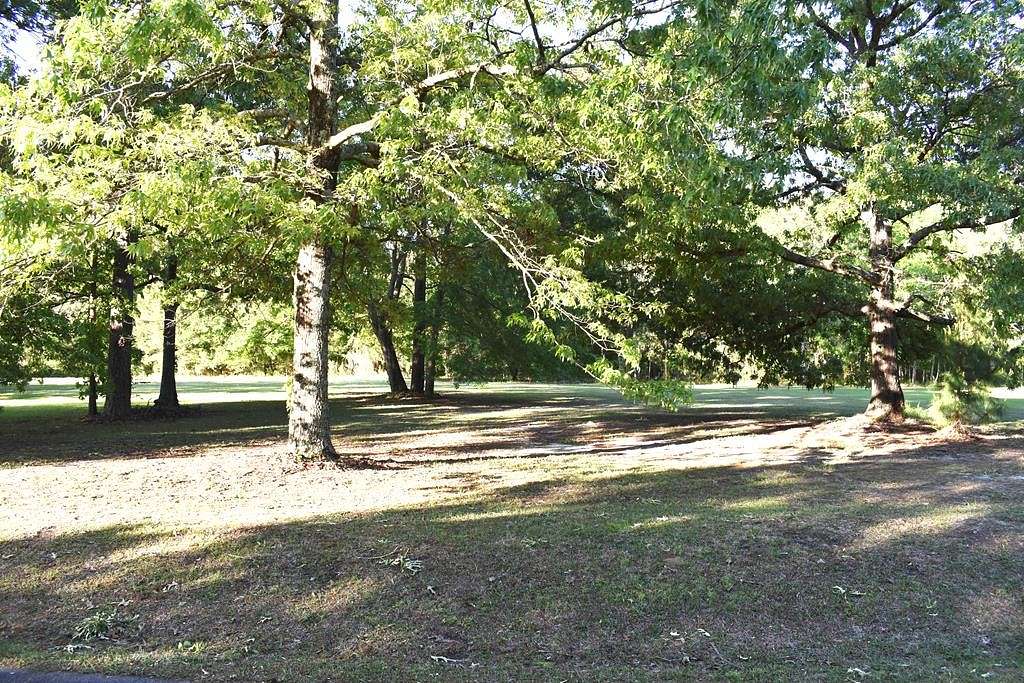 0.5 Acres of Residential Land for Sale in Manning, South Carolina