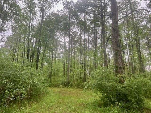 53.4 Acres of Recreational Land & Farm for Sale in Liberty, Mississippi
