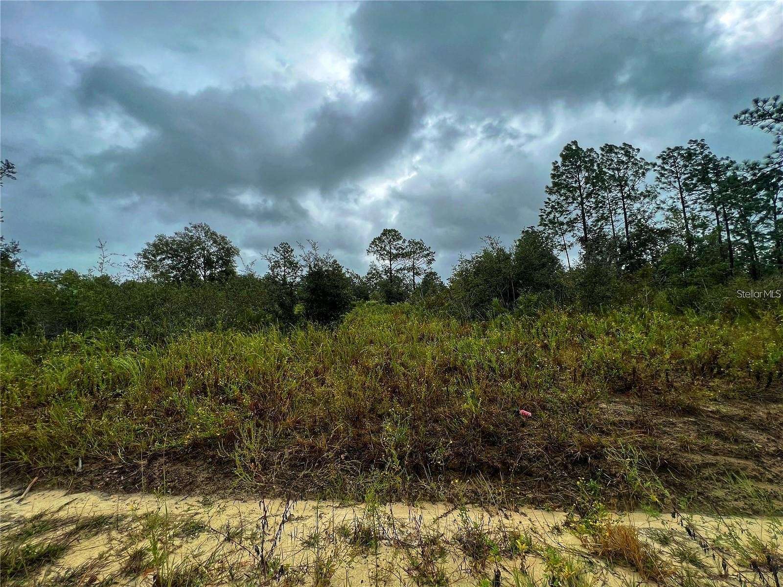 1.2 Acres of Land for Sale in Williston, Florida